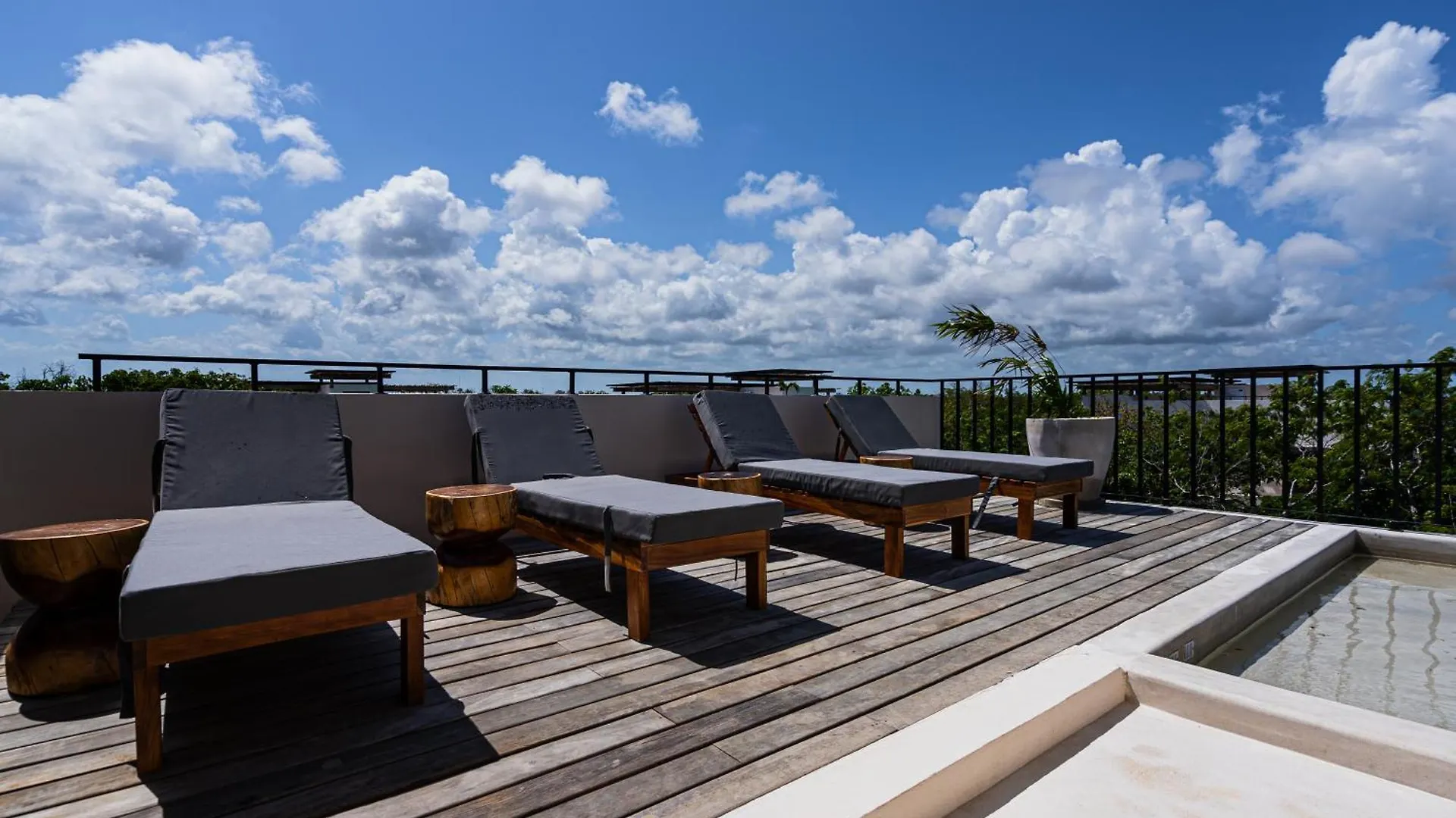 Penthouse With Private Jungle, Pool, Downtown Daire Tulum