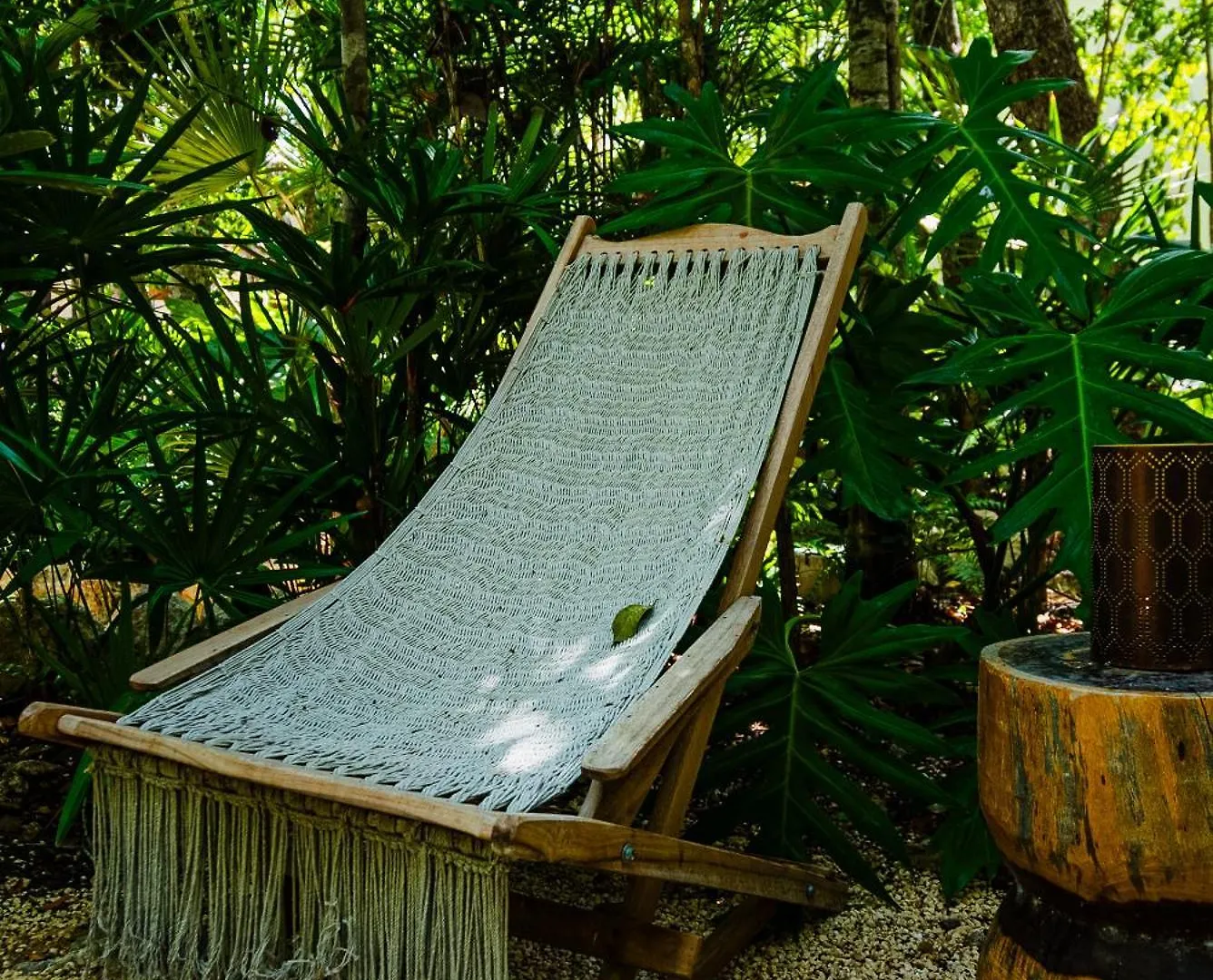 Penthouse With Private Jungle, Pool, Downtown Daire Tulum 0*,